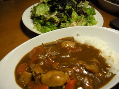 DSCN1131 (400x300).jpg