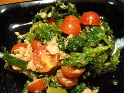 DSCN1110 (400x300).jpg