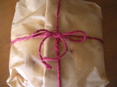 DSCN1150 (400x300).jpg