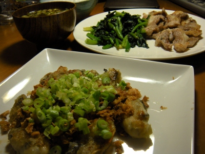 DSCN1152 (400x300).jpg