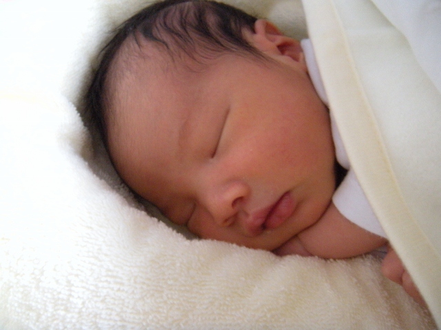 DSCN1244 (640x480).jpg