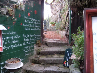 DSCN0684 (400x300).jpg