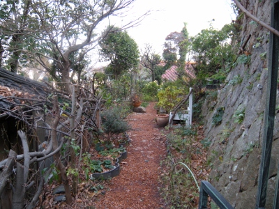 DSCN0686 (400x300).jpg