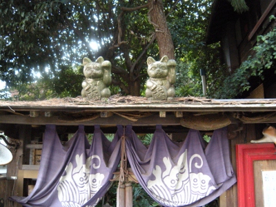 DSCN0692 (400x300).jpg