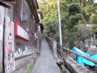 DSCN0693 (400x300).jpg