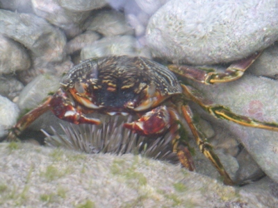 DSCN0921 (400x300).jpg