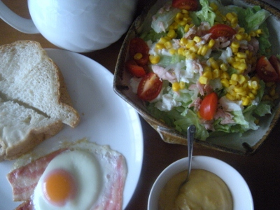 DSCN0782 (400x300).jpg