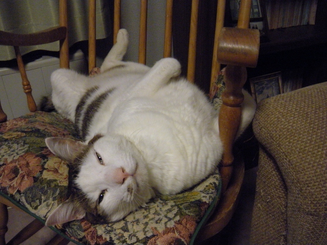 DSCN1177 (640x480).jpg