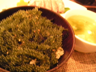 DSCN0936 (400x300).jpg