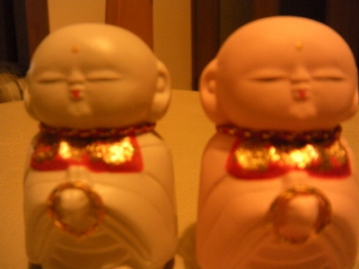 DSCN0703 (400x300).jpg