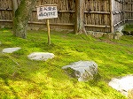 2005-04-20 15:19:45