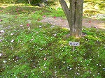 2005-04-20 15:20:31