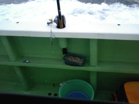 アサリの剥き身