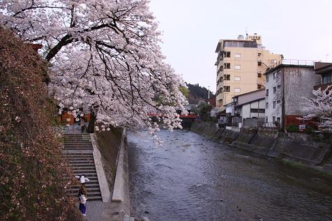 090415桜５