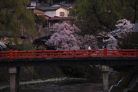 090415桜５