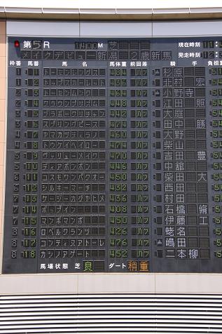 ロベルクランツデビュー２