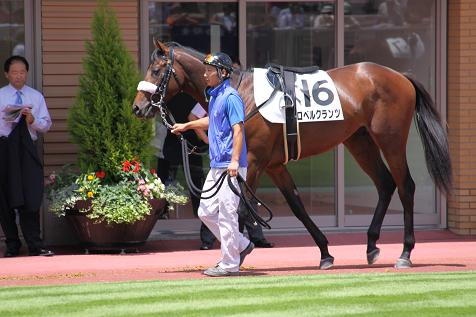 ロベルクランツデビュー３