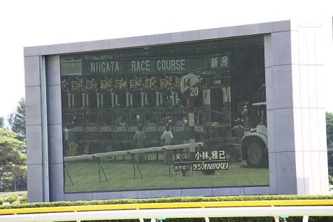 ロベルクランツデビュー８