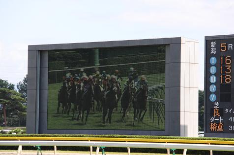 ロベルクランツデビュー９