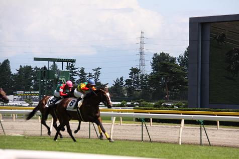 ロベルクランツデビュー１０