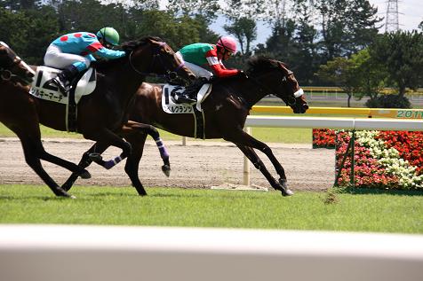 ロベルクランツデビュー１１