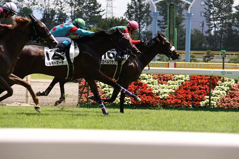 ロベルクランツデビュー１２