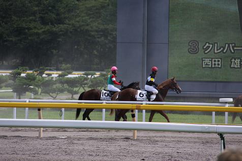 ロベルクランツデビュー１４