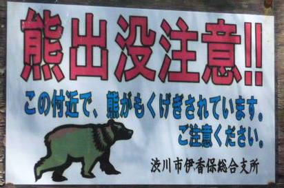 くま.jpg