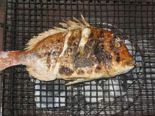 レンコ鯛の塩焼き