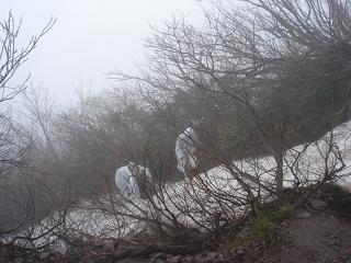 登山道には雪が・・・。