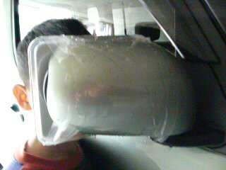 後ろから見ると