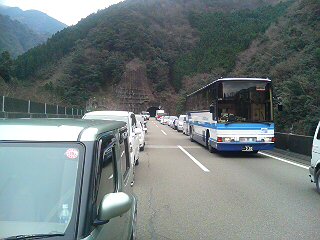 後ろもこんな具合