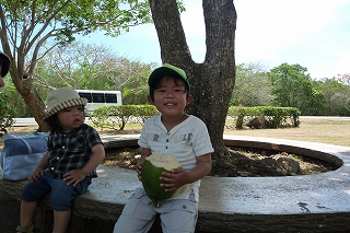 s-0527ﾔｼの実ｼﾞｭｰｽ.jpg