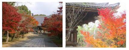 仁和寺