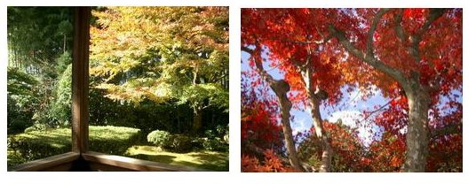 宝泉院と寂光院