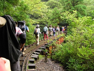 トロッコ道は続くよ.JPG