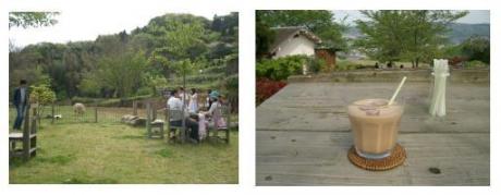 ラッキーガーデン２