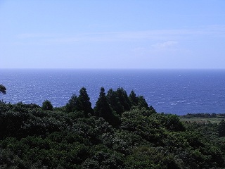 南側は海.JPG