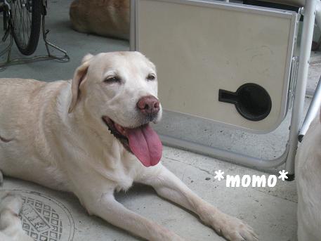 20080816momo