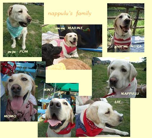 なっぷるファミリー♪