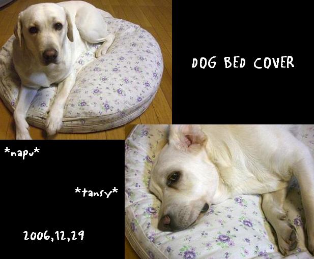 20061229dogbedcover