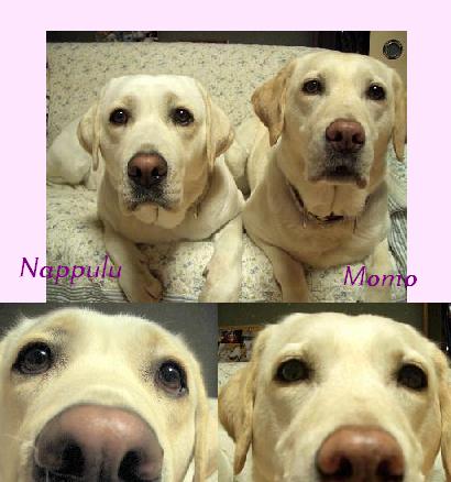 519お目目あっぷ