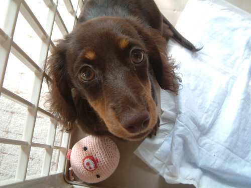 はじめまちて♪まりたんです