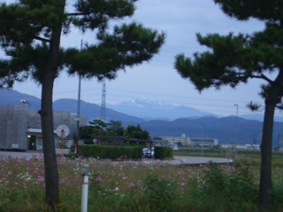 白山とコスモス