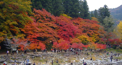 香嵐渓