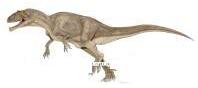 ギガノサウルス.jpg