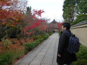 大徳寺の紅葉