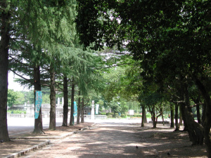 鶴舞公園2