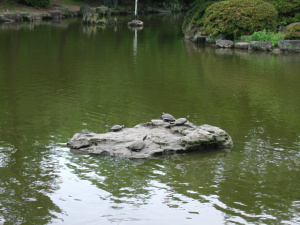 鶴舞公園6