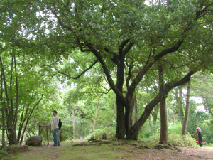 鶴舞公園9